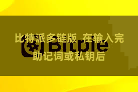 比特派多链版 在输入完助记词或私钥后