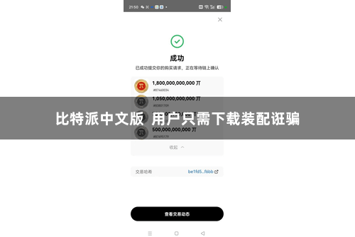 比特派中文版 用户只需下载装配诳骗