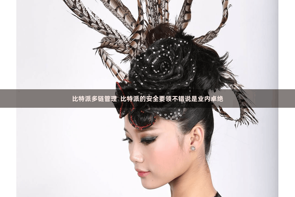 比特派多链管理  比特派的安全要领不错说是业内卓绝