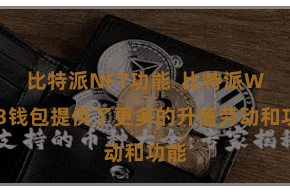 比特派NFT功能  比特派Web3钱包提供了更多的升值劳动和功能