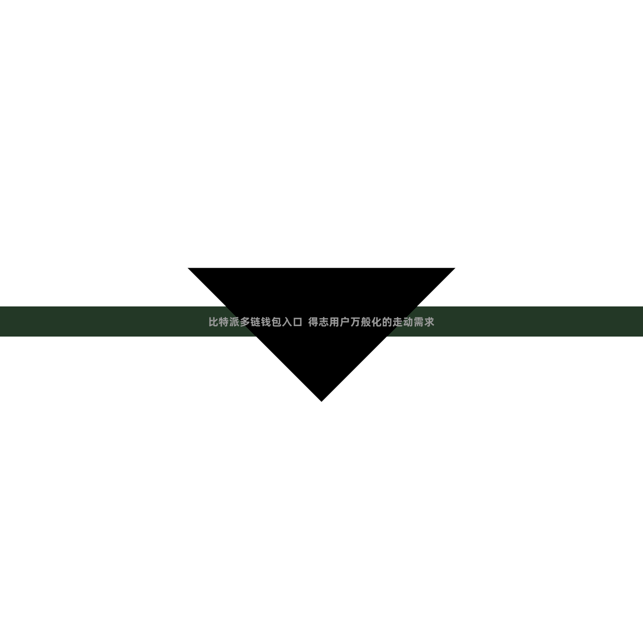 比特派多链钱包入口  得志用户万般化的走动需求