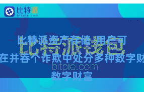 比特派资产存储  用户可以在并吞个诈欺中处分多种数字财富