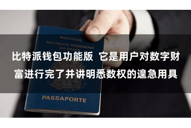 比特派钱包功能版  它是用户对数字财富进行完了并讲明悉数权的遑急用具