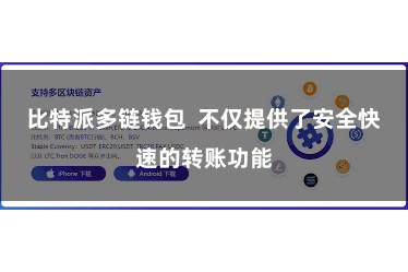 比特派多链钱包  不仅提供了安全快速的转账功能